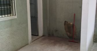  Casa com 2 comodos  LO 155